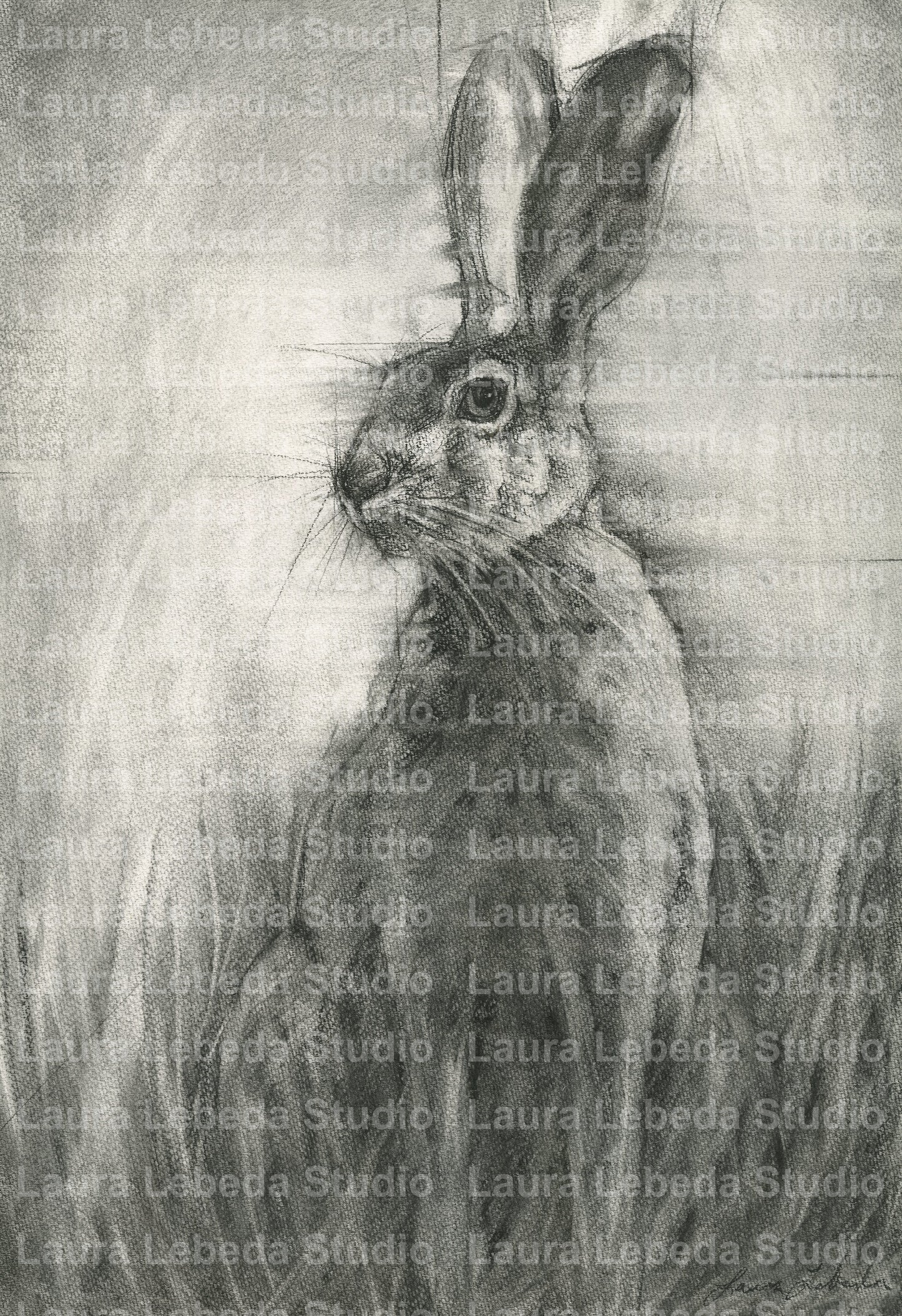 "Listen" Hare, Giclée Print