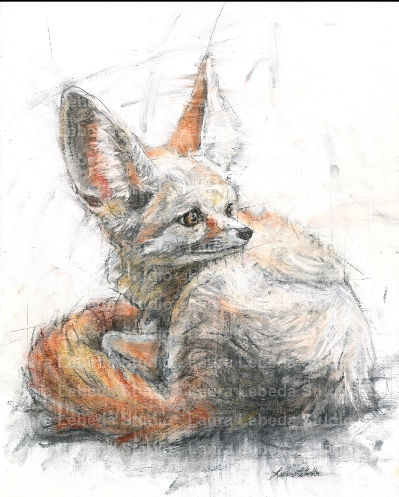 “By the Light of the Moon” Fennec Fox - Giclée Print