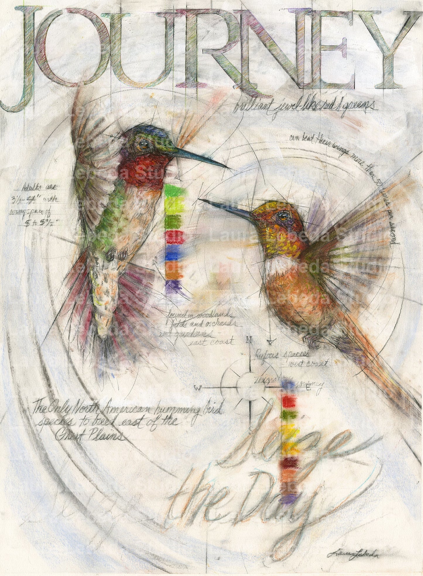 "Journey" Hummingbirds, Giclée Print