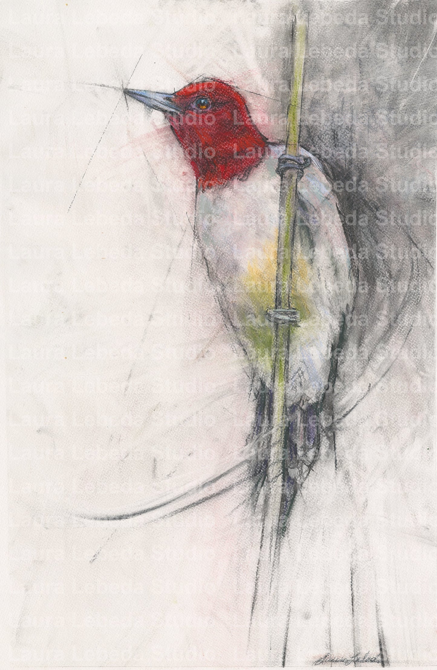 "Redheaded Beauty" - Giclée Print