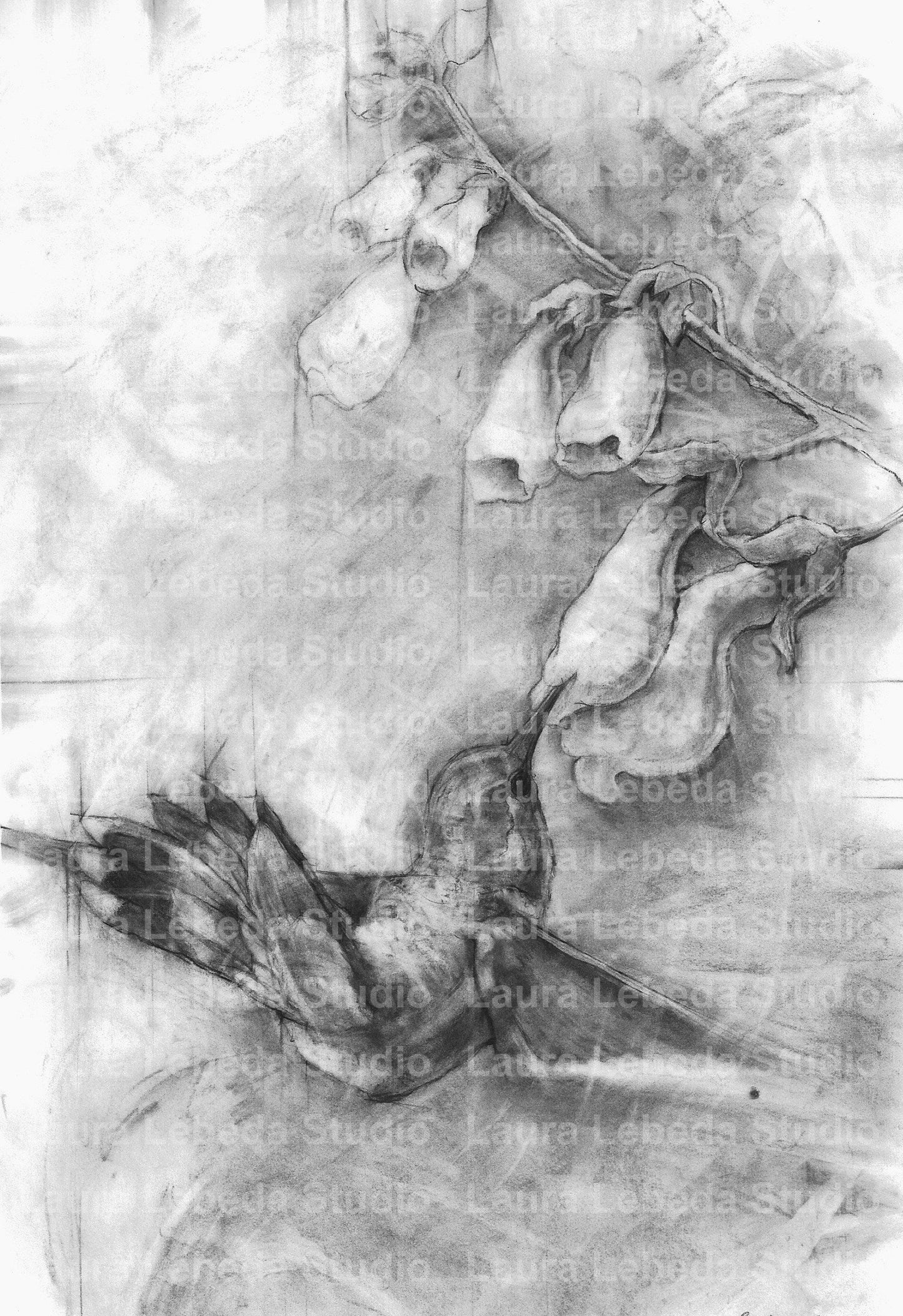 "Charcoal Hummingbird with Flowers" - Giclée Print