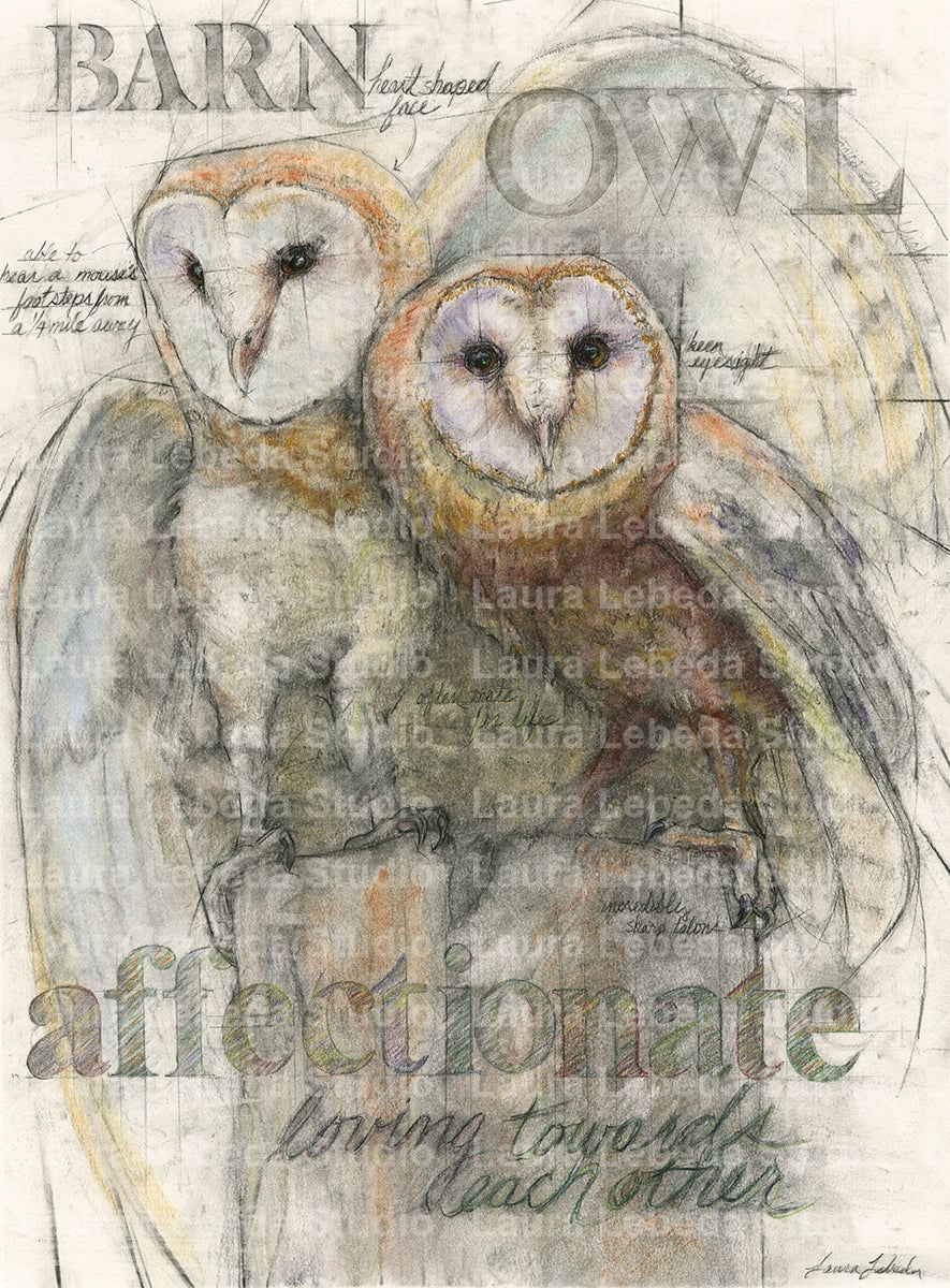 "Kindred Spirits" Barn Owls, Giclée Print