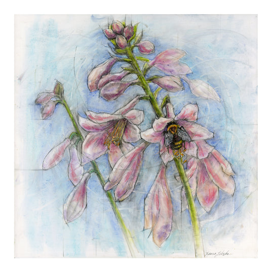Bumble Bee In Pink Hosta Flower - Giclée Print