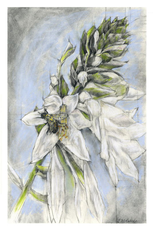 Bumble Bee in Sylvia's Hosta - Giclée Print