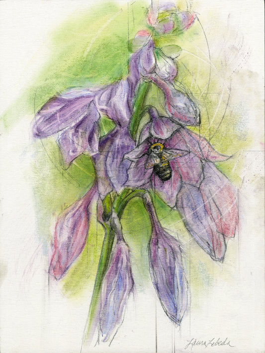 Bumble Bee In Purple Hosta Flower - Giclée Print