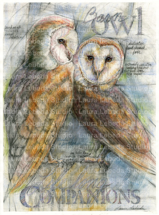 "Birds Of A Feather" - Barn Owls, Framed 26" x 34"