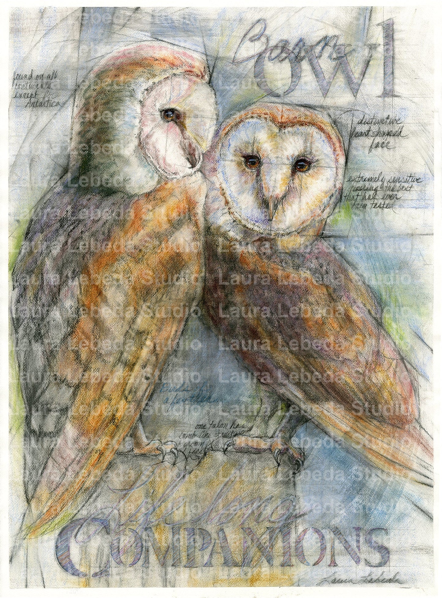 "Birds Of A Feather" Barn Owls, Giclée Print