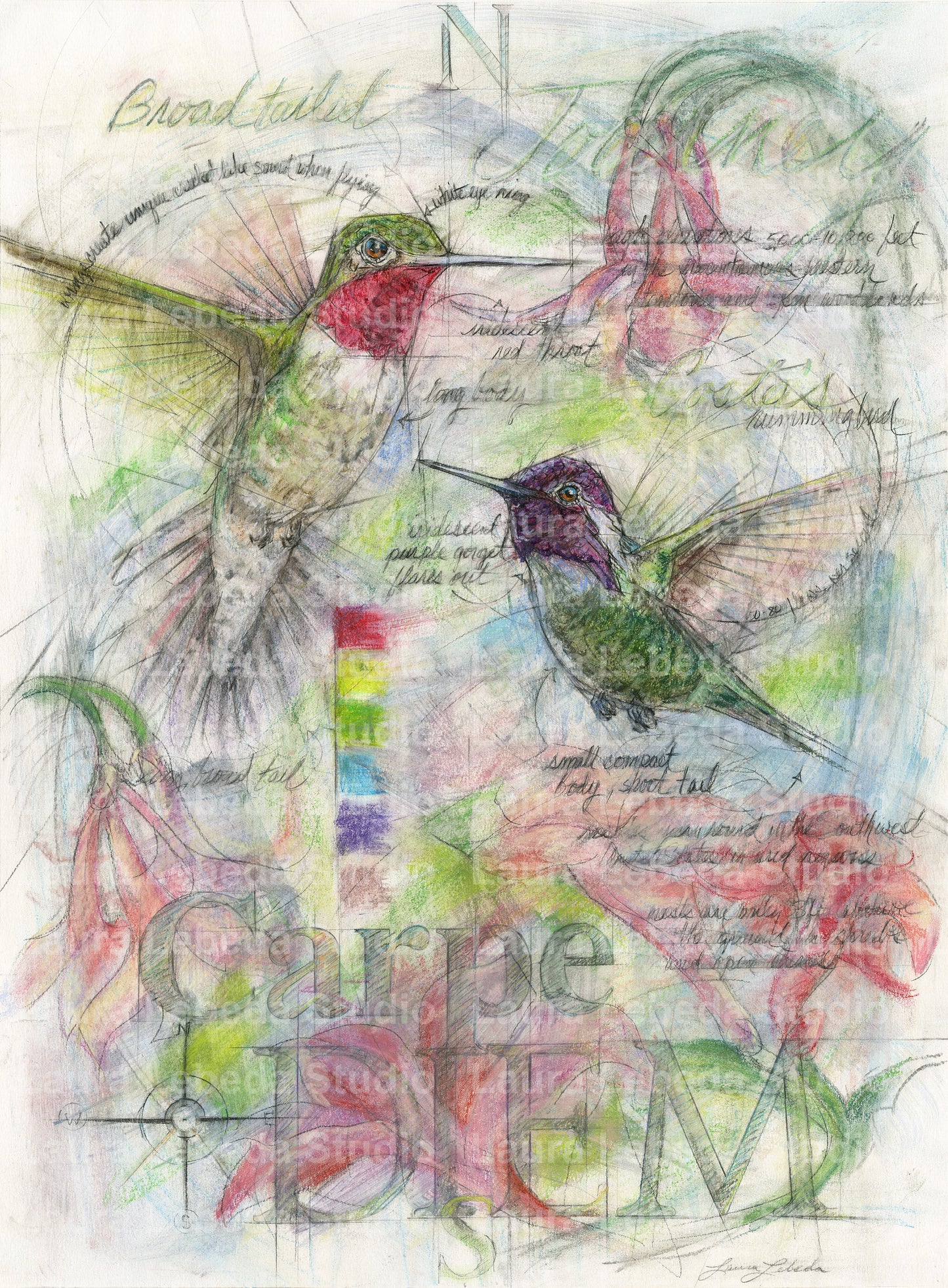 "Carpe Diem" Hummingbirds - 26”x34” SOLD