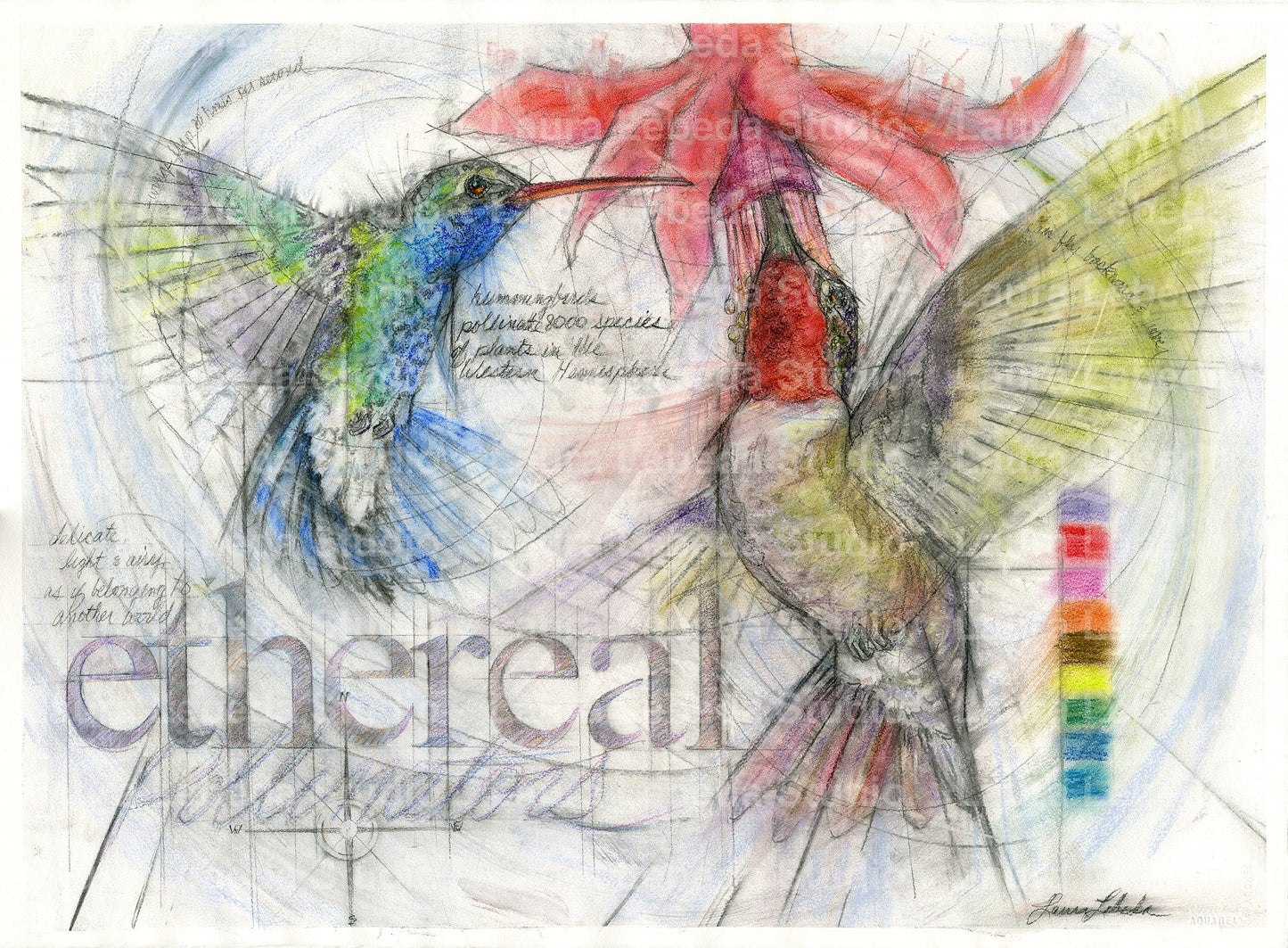"Etherreal" Hummingbirds 34" x 26" Available through Edgewood Orchard Gallery