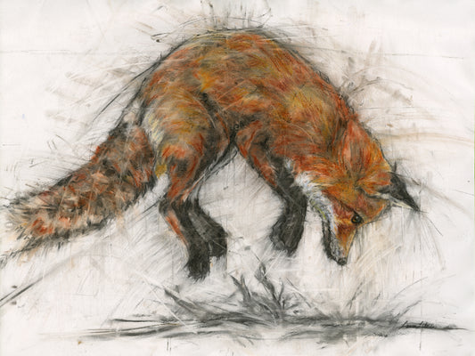 "Pouncing Fox," Framed 26" x 34"  - Original Drawing