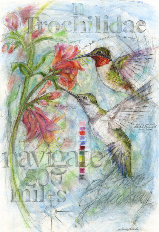 "Navigate" Hummingbirds, Framed 29"x 42"
