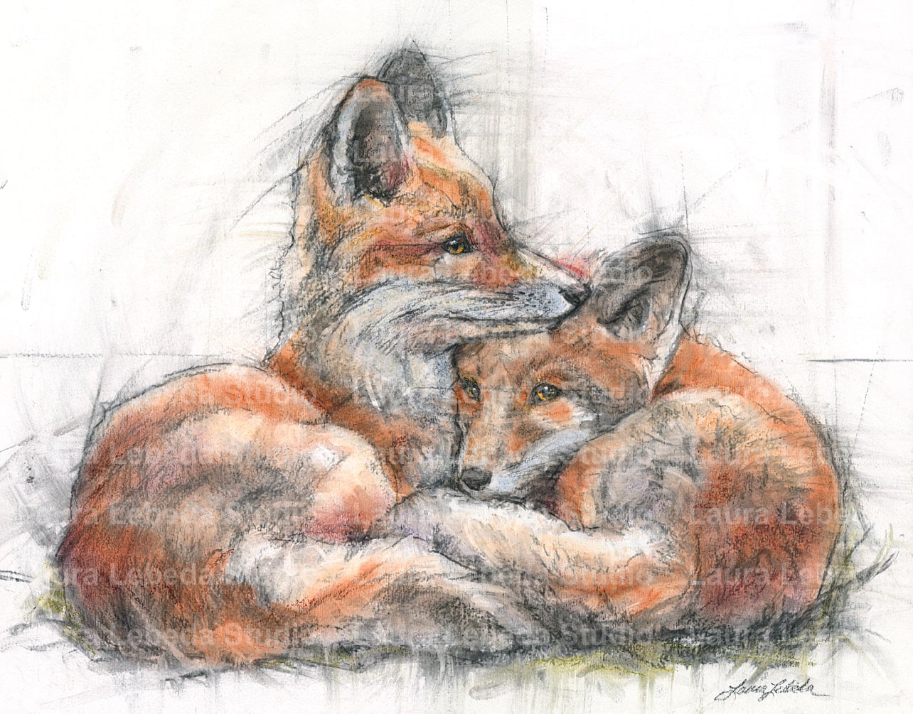 “Companions” Red Fox Cubs - Giclée Print