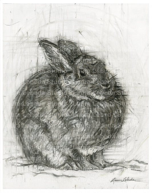"Contentment" Round Rabbit - Giclée Print