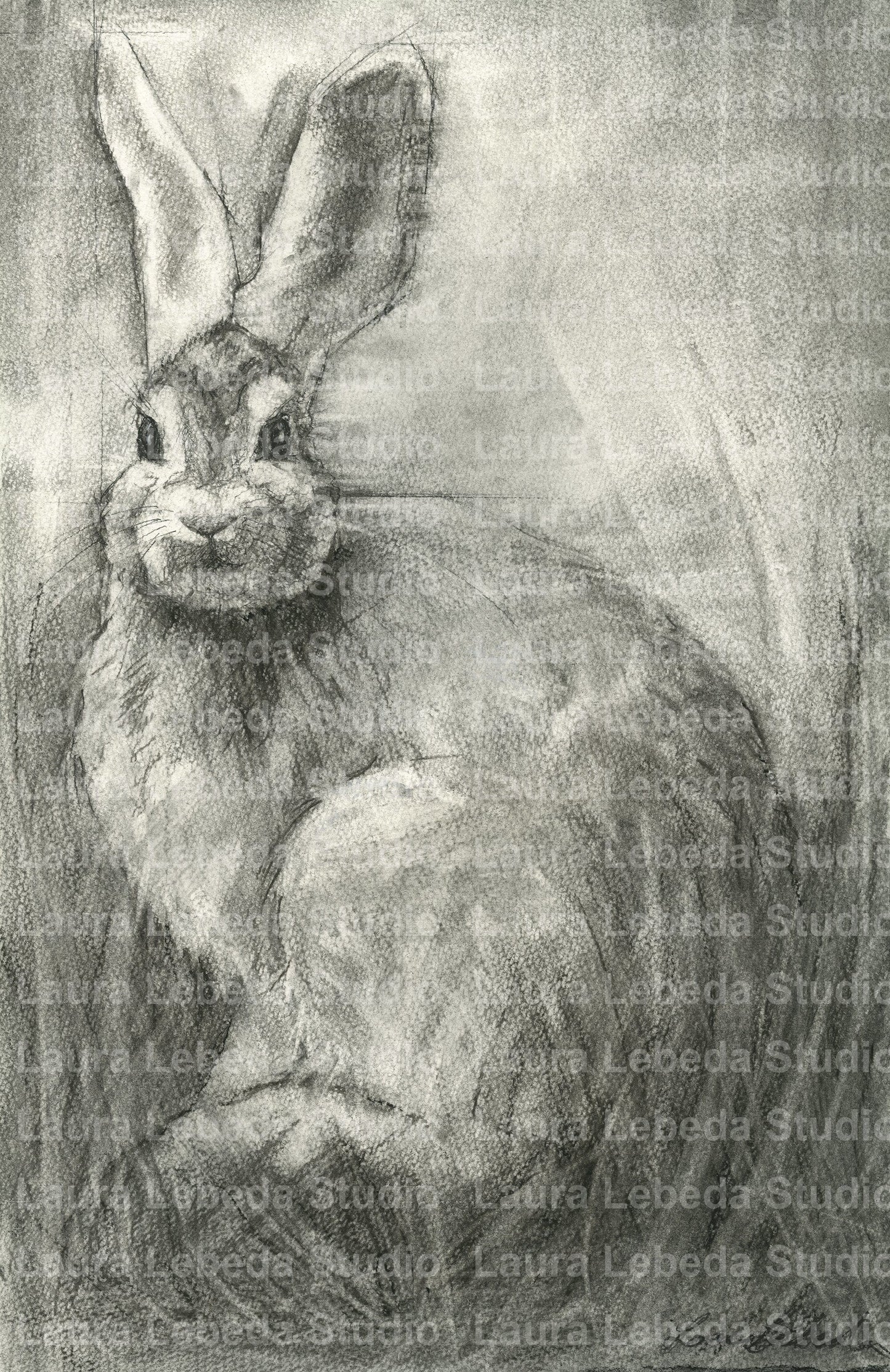 "Look" Rabbit, Giclée Print
