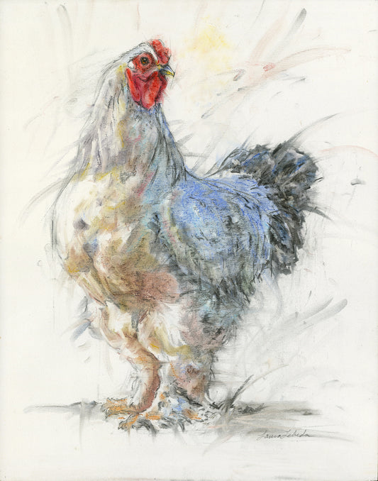 "Best In Show" 16x20 Bantam Roster