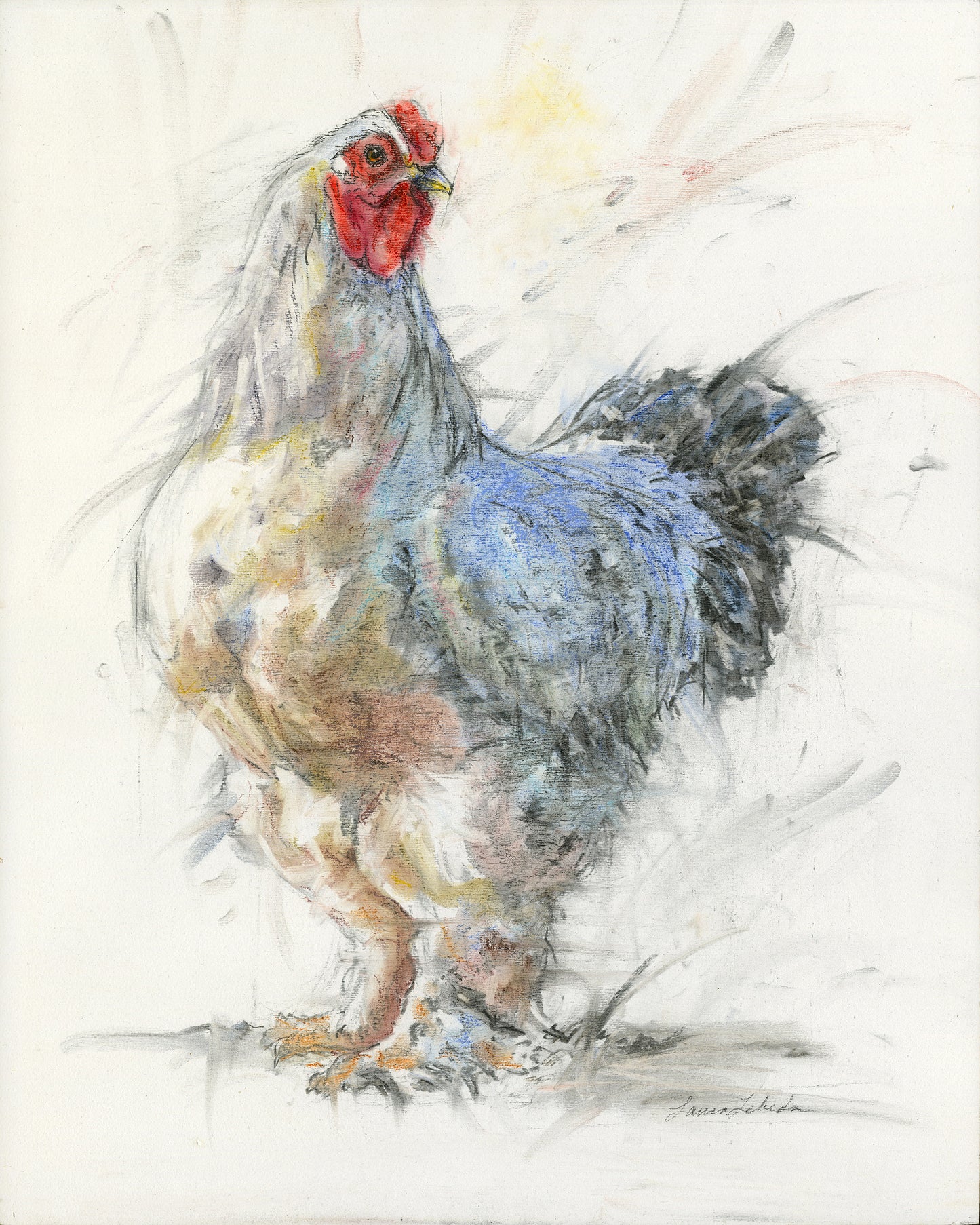 "Best In Show" Bantam Rooster, Giclée Print