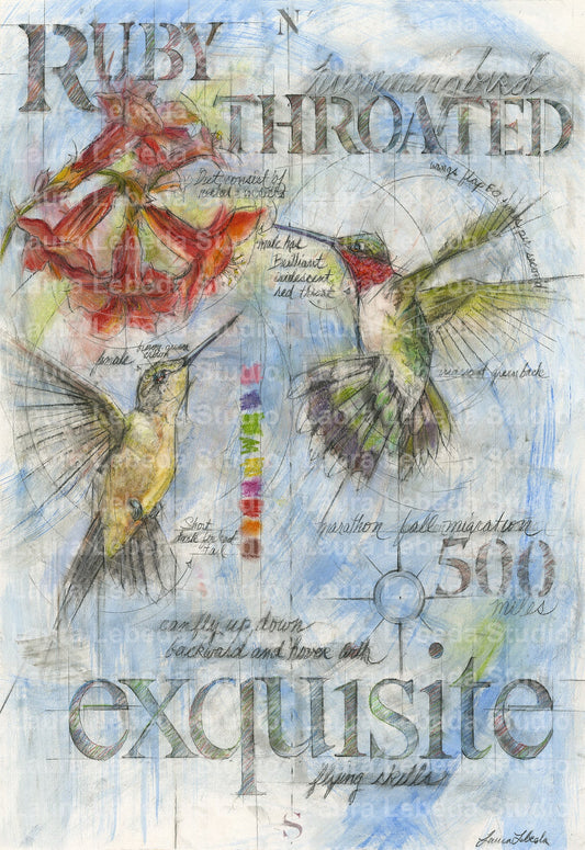 "Exquisite" Hummingbirds, Giclée Print