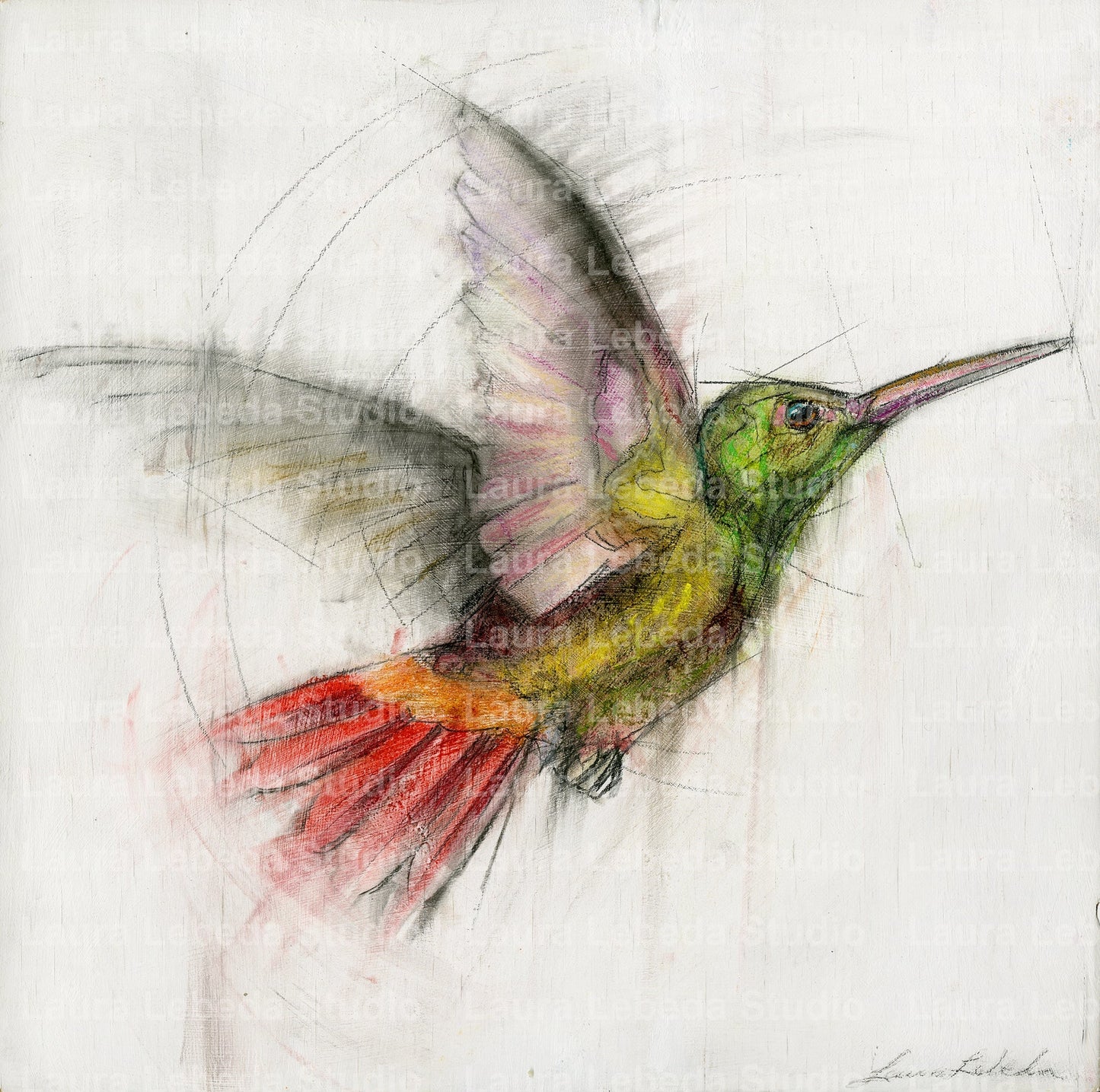 Hummingbird 03 - Print On Wood