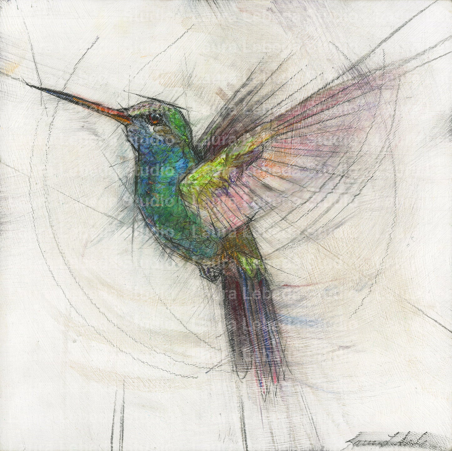 Hummingbird 08 - Print On Wood