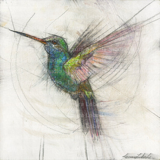 Hummingbird 08 - Print On Wood