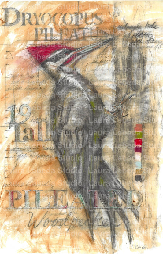 "Pileated Woodpecker" - Giclée Print